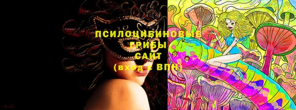 стаф Баксан
