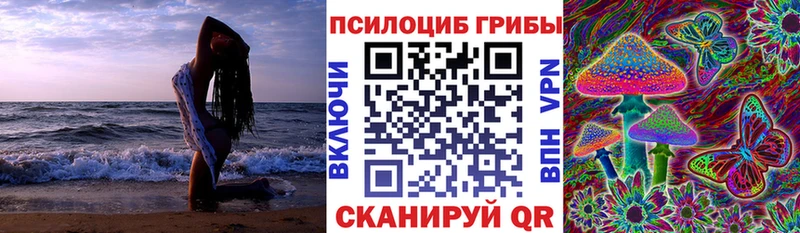 Псилоцибиновые грибы Psilocybine cubensis Вышний Волочёк